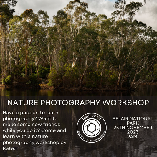 Lens Craft: Belair National Park Nature Photography Workshop for Women