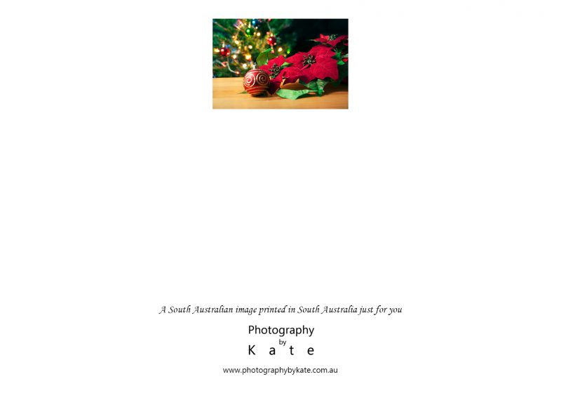 6 Poinsettia Christmas Card2 Update