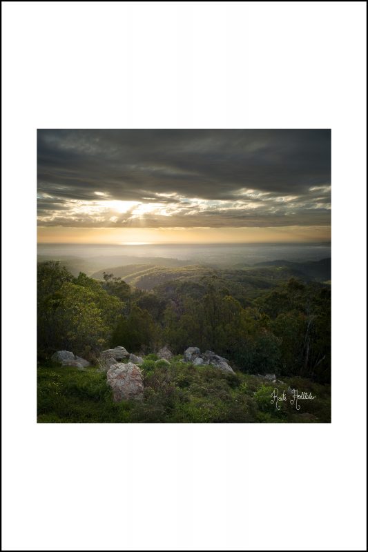 Mount Lofty View Mounted Print