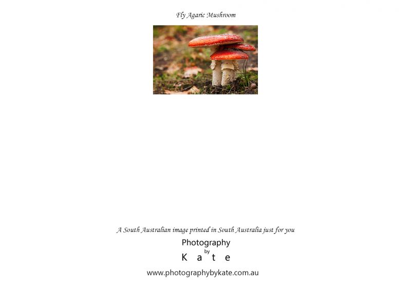 Mushroom Landscape Card Text2