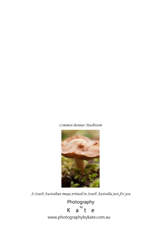 Mushroom Portrait Card2