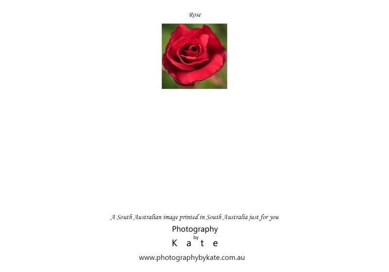 Rose Card2
