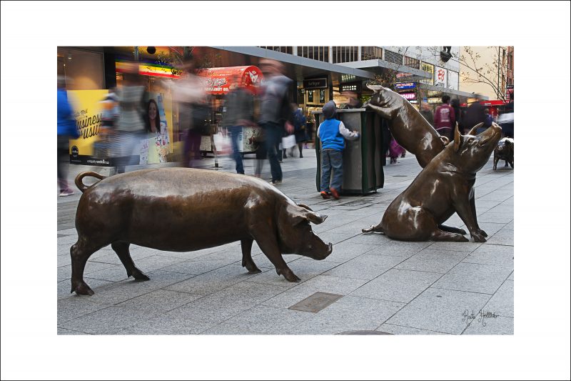 Rundle Mall Pigs Mounted Print