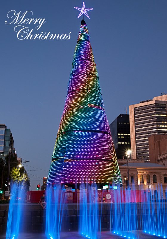 Victoria Square Christmas Tree Card