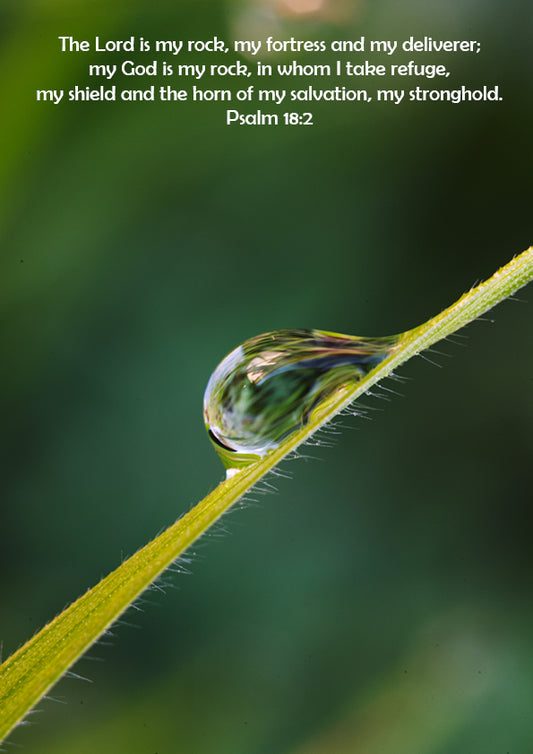 Water Droplet Poster